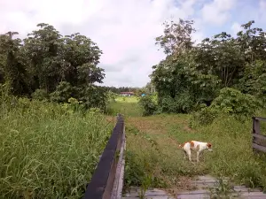Maria Garden - Education Centre for permaculture