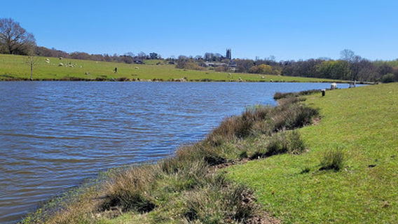 Tenterden Trout Waters