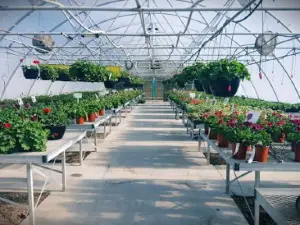 Grimm's Gardens