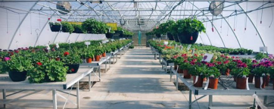 Grimm's Gardens