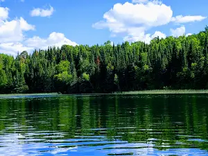Mantrap Lake Campground