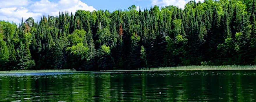 Mantrap Lake Campground
