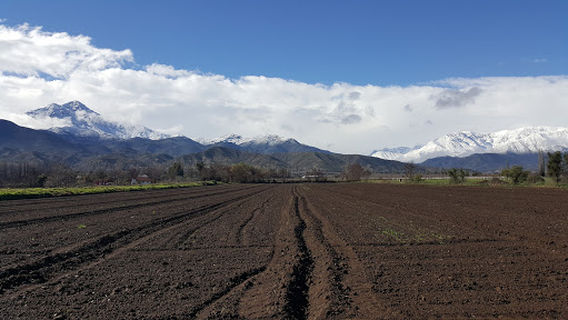 St. Stephen's Square