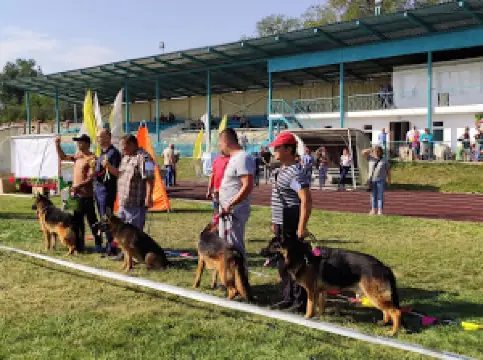 Stadion Kaskelen