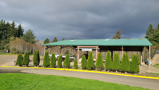 Dreamland Skateparks