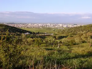 Stadiumi Loni Papuciu