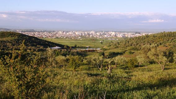 Stadiumi Loni Papuciu