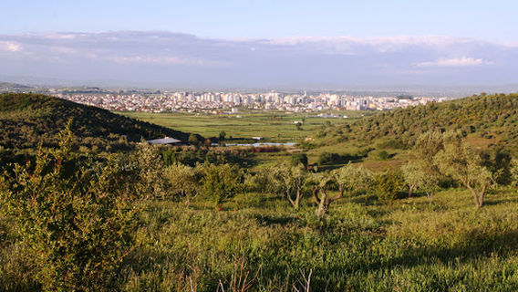Stadiumi Loni Papuciu