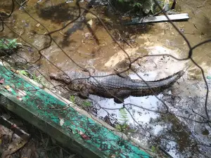 Taman Wisata Alam Bukit Tangkiling