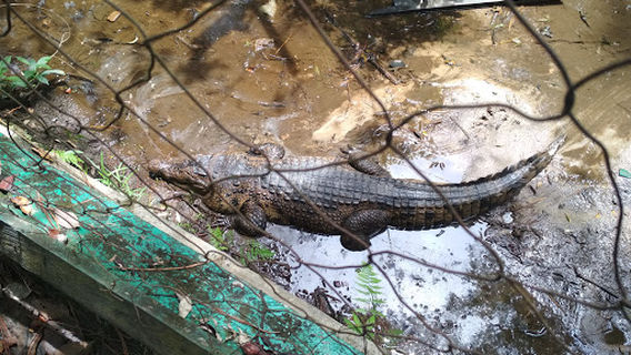 Taman Wisata Alam Bukit Tangkiling
