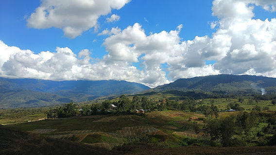Kebun Raya Biologi Wamena