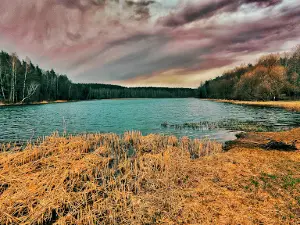 Sadovoye Tovarishchestvo "Vyacha"