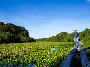 Operadora de Turismo Vaqueros del Río Pauto Trinidad Casanare