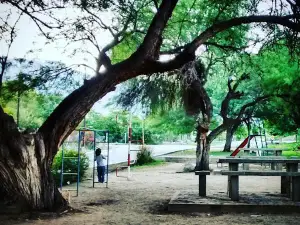 Green Tree Plaza