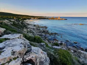 Dipkarpaz National Park