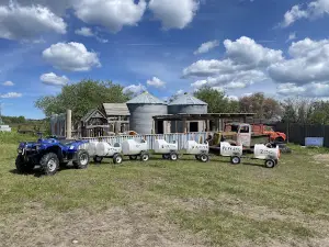 Down to Earth Farms Petting Farm