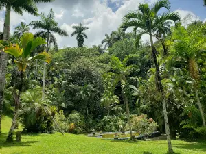 Castleton Botanical Gardens