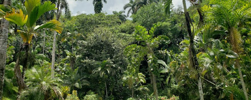 Castleton Botanical Gardens