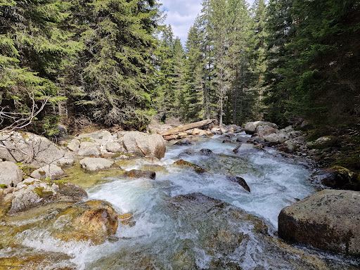 Demyanishka River eco-trail