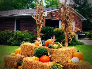 Holt Family Farms