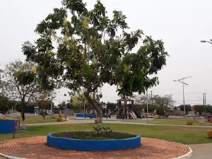 the Spring Square