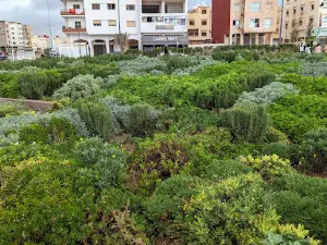 Park tilila