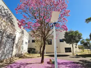 Praça Da Matriz