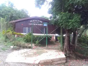 Salon Del Reino De Los Testigos De Jehova