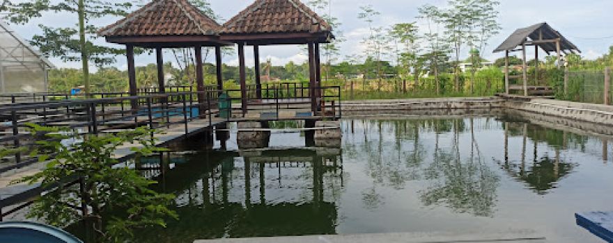 Kolam pancing & kedai sawah