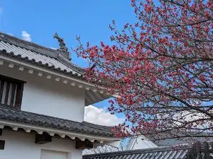 益岡公園