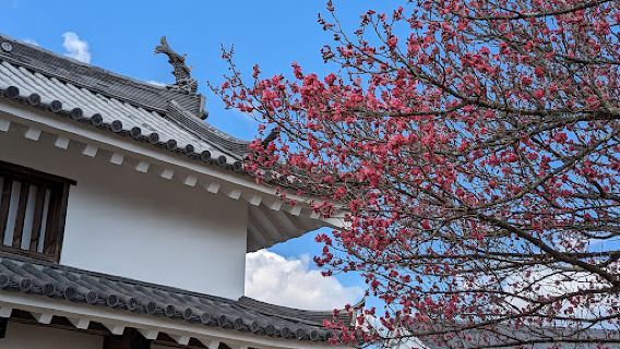 益岡公園