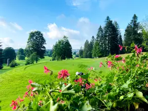 Golf Les Bois