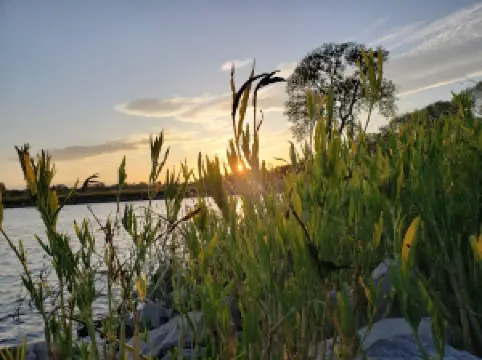 レイク・ルイス・バーツシー・ステート・ゲーム・リザベーション