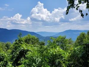 Black Mountain Off Road Adventure Area
