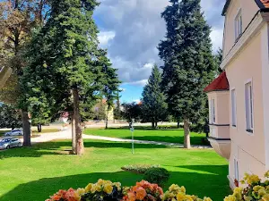 Grad Rače