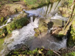 Praia fluvial de Ponte Caldelas
