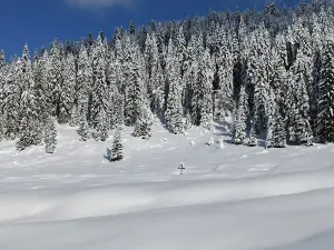 Glăvoi