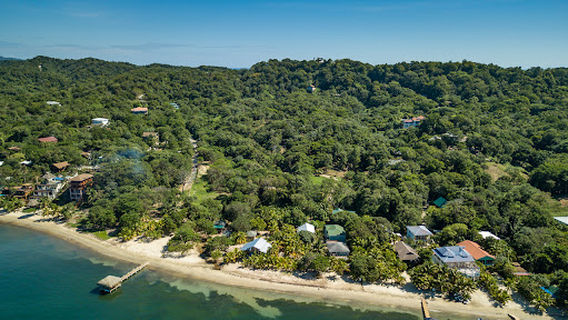 Roatan Disc Golf