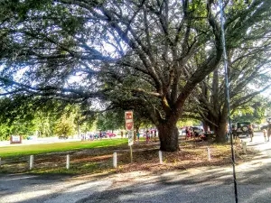 Effingham County Recreation Complex
