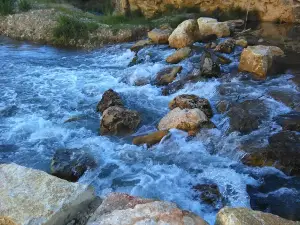 Manantial Los Baños de Ariño