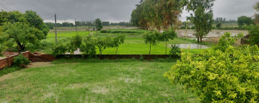 Sai Baba Mandir Unurkha