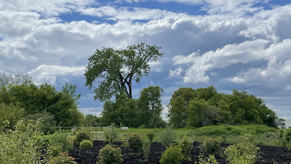 Discovery Nature Sanctuary