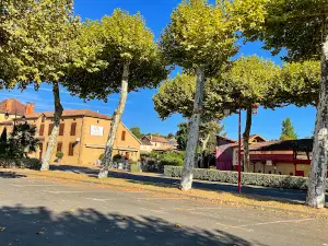 Arènes Jean Bartherotte d'Estang