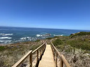 Praia da Amoreira