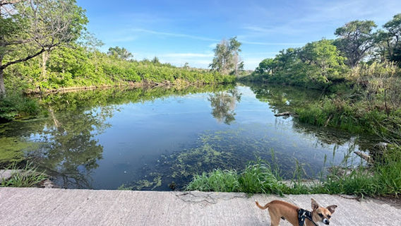 Historic Lake Scott State Park