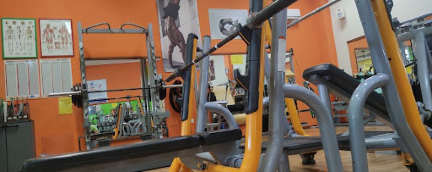 Ssd SportArea