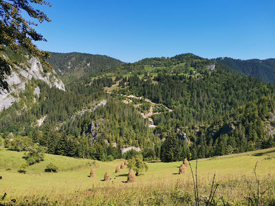 Cheile Albacului