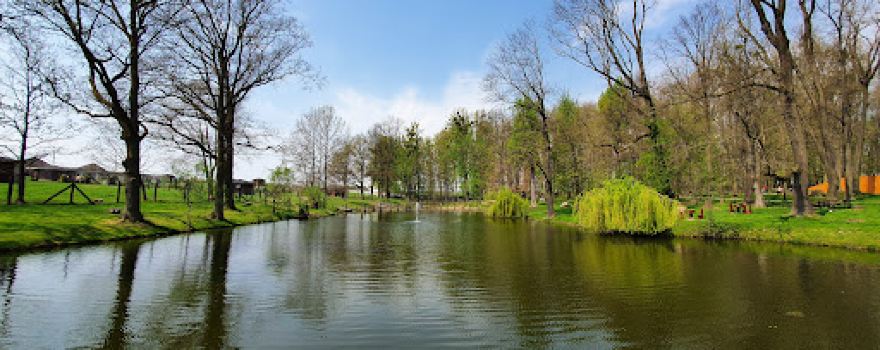 Sala zabaw alele/ Park Przygód i Atrakcji