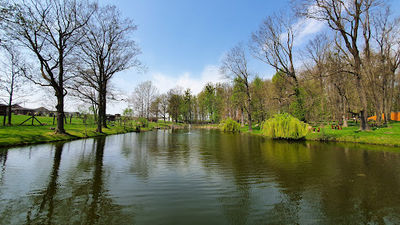 Sala zabaw alele/ Park Przygód i Atrakcji