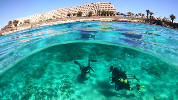Native Diving Lanzarote